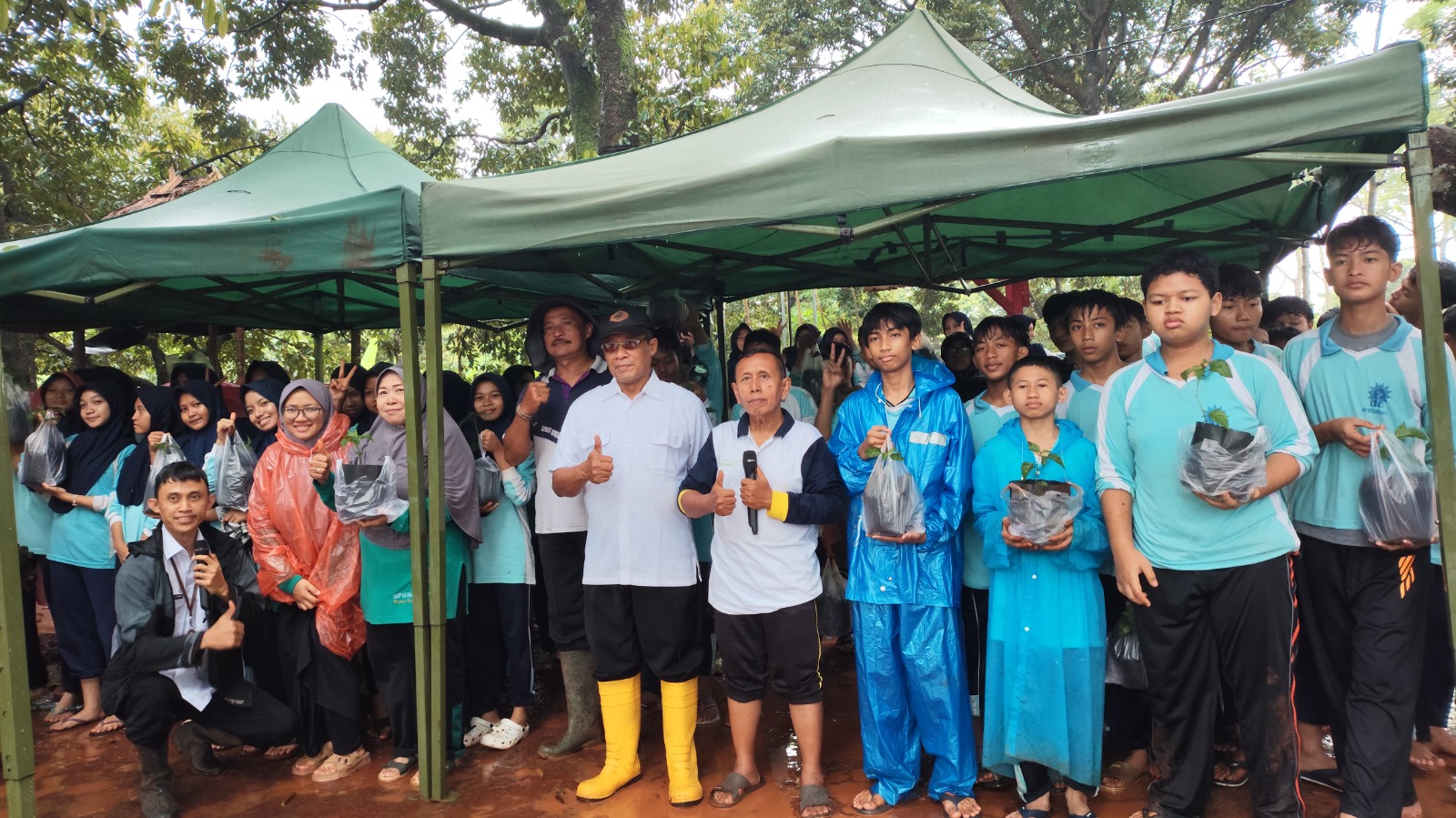 Pembibitan Benih Tanaman