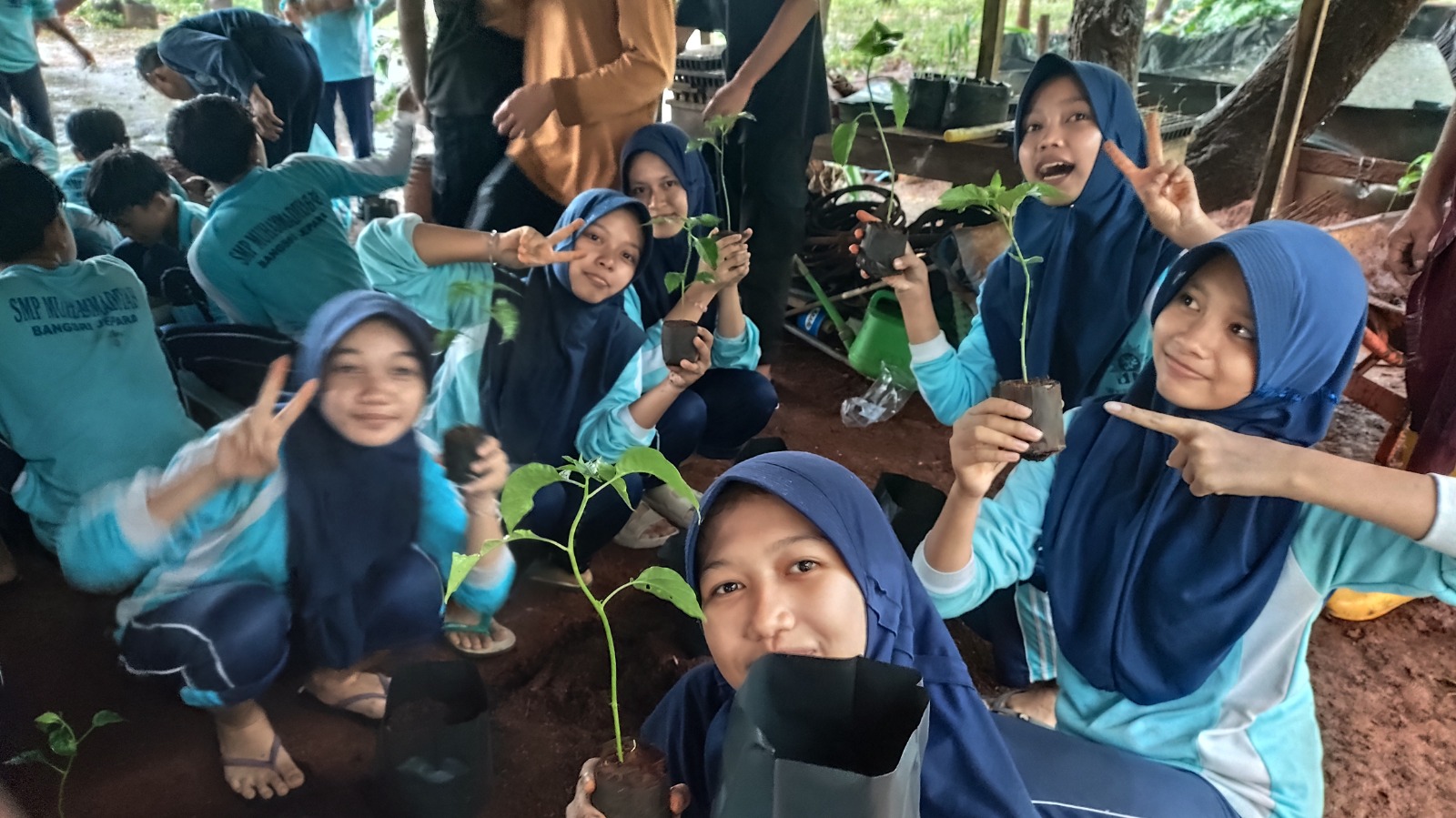 Pembibitan Benih Tanaman