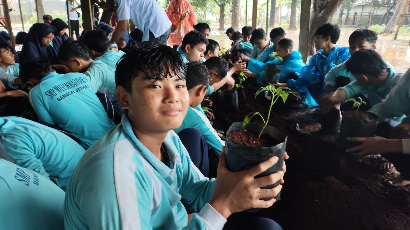 Pembibitan Benih Tanaman